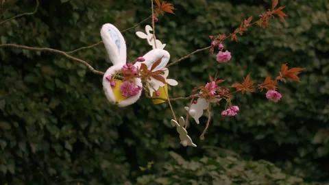 Easter bunny ears and easter decorations on blossom tree Vidéo 333264892