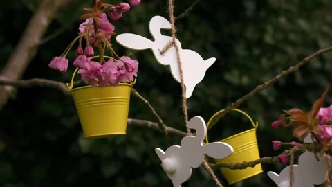 Easter bunny ears and easter decorations on blossom tree Stock Footage 335218893