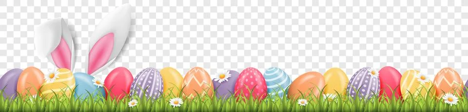Easter bunny ears with easter eggs with flowers background banner transparent Stock Illustration