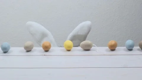 Easter Bunny Ears. Stock Footage 223108380