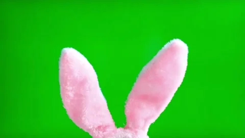 Easter Bunny Ears On Green Screen Background. Ears on Chroma Key Screen Stock Footage 203839058