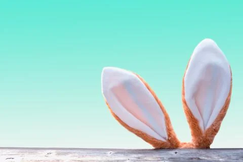 Easter bunny ears looking up from behind wooden fence Illustrazione stock