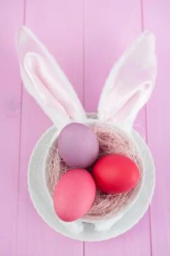 Easter bunny ears Stock Photos