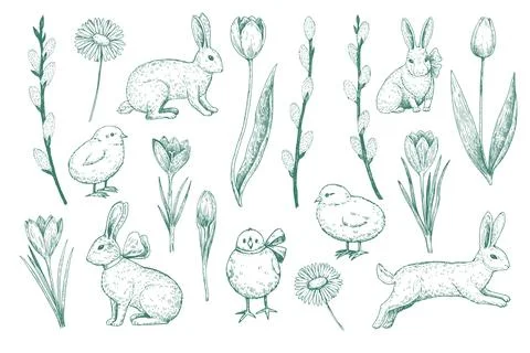 Easter bunny, easter chicken and spring flowers. Monochrome illustrations i.. Stock Illustration