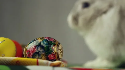 Easter Bunny with Easter eggs Stock Footage 61623335