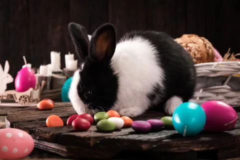 Easter bunny with easter eggs on wooden background. easter concept Stock Photos