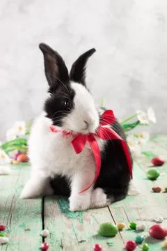 Easter bunny with easter eggs on wooden background. easter concept Foto stock