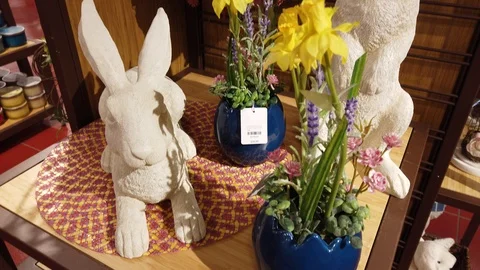 Easter Bunny With Easter Floral Arrangements For Sale Bottom To Top Panorama Stock Footage 126231659