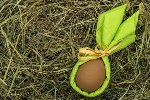 Easter bunny egg on grass texture close-up copy space 스톡 사진