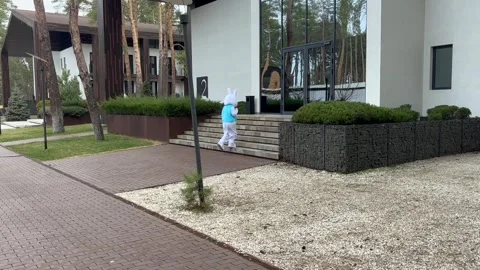 Easter Bunny Enters Stock Footage 305410758