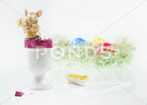 An Easter bunny figurine in a boiled egg with the top cut off, with an Easter Stock Photos