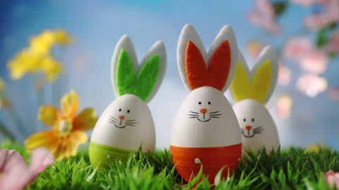 Easter Bunny Stock Footage 167169079