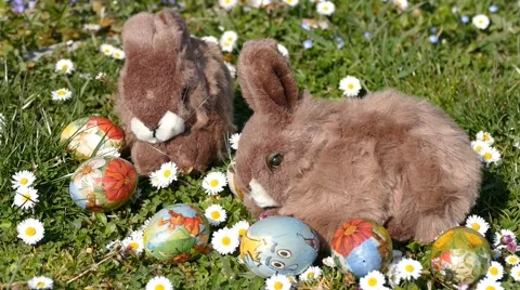 Easter Bunny On Grass With Easter Eggs And Flowers 4 Stock Footage 48465880
