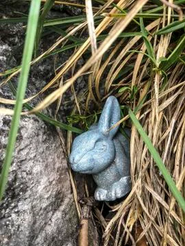 An easter bunny in the grass Stock Photos