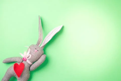 Easter bunny on a green background Stock Photos