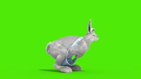 Easter Bunny Green Screen Jump Side 3D Rendering Animation Stock Footage