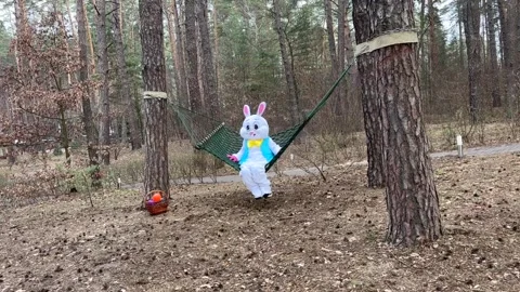 Easter-bunny-in-the-hammoc Stock Footage 305501486