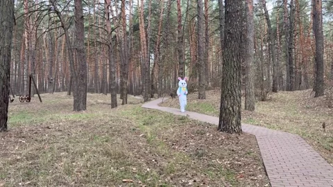 Easter Bunny Jogs Stock Footage 305322177