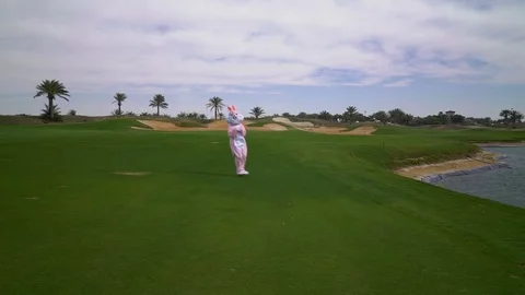 Easter Bunny jumping and running on the grass on golf course Video stock 76015724