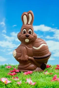 Easter bunny made ??of chocolate with easter egg on a green meadow with flowe Stock Photos