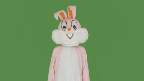 Easter Bunny or rabbit dances on chroma key, green screen. Video stock 126695447