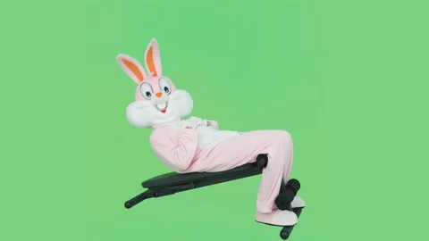 Easter Bunny or rabbit funny sportsman athlete bodybuilder is practicing trains Видео 146711983