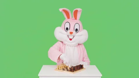 Easter Bunny or rabbit or hare is playing chess game isolated on chromakey or Stock Footage 146711722