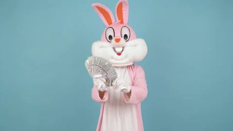 Easter bunny or rabbit or hare hold fan of dollars in his hand, shows thumb Stock-Footage 147970352