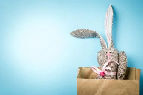 Easter bunny in a packet Stock Photos