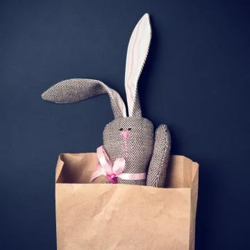Easter bunny in a packet Stock Photos