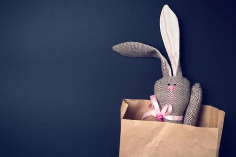 Easter bunny in a packet Stock Photos