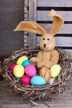 Easter bunny Stock Photos
