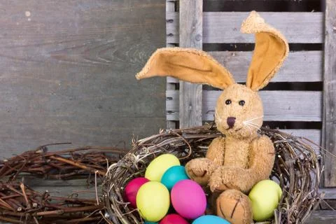 Easter bunny Stock Photos