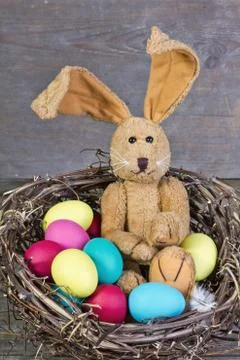 Easter bunny Stock Photos