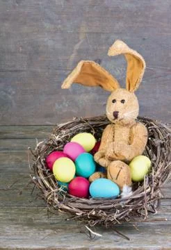 Easter bunny Stock Photos