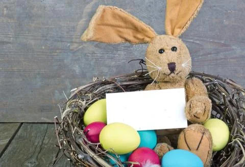 Easter bunny Stock Photos