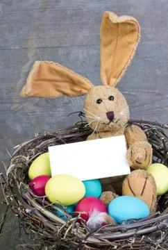 Easter bunny Stock Photos