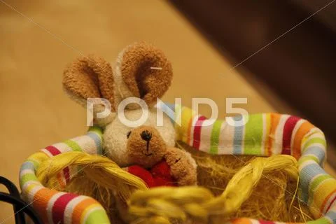 Easter Bunny Stock Photos