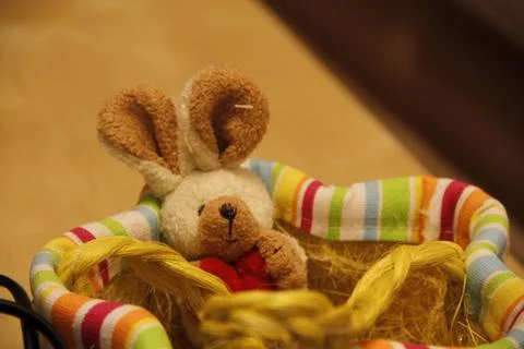 Easter Bunny 库存照片