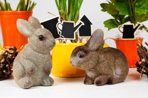 Easter bunny Stock Photos