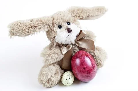 Easter Bunny Stock Photos