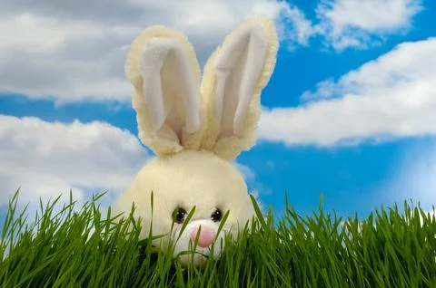Easter bunny Stock Photos