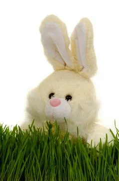 Easter bunny Stock Photos