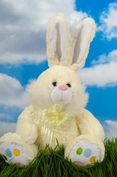 Easter bunny Stock Photos