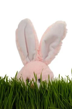 Easter bunny Stock Photos