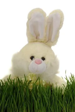 Easter bunny Stock Photos
