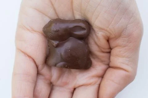 Easter Bunny Stock Photos