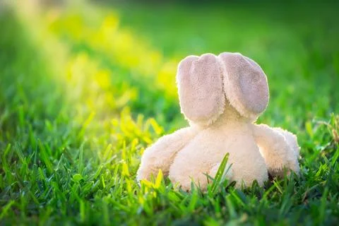 Easter bunny Stock Photos