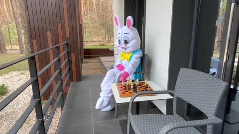 Easter Bunny Plays Chess Stock Footage 305191603