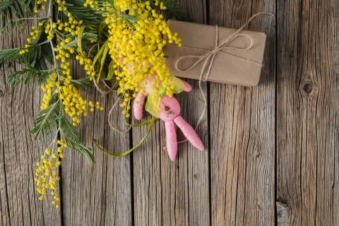 Easter bunny with present Foto stock